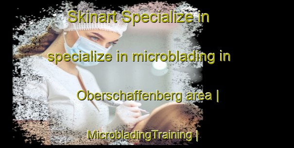Skinart Specialize in specialize in microblading in Oberschaffenberg area | MicrobladingTraining | MicrobladingClasses | SkinartTraining-Austria